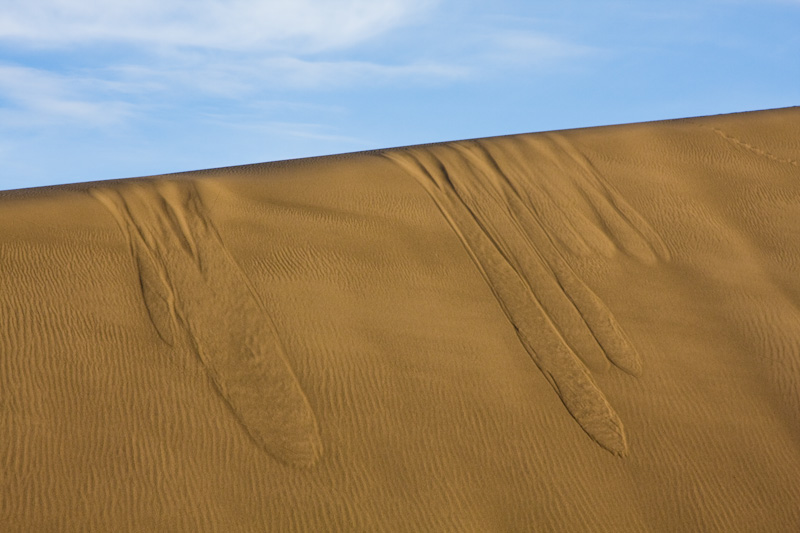 Patterns In Sand Dune